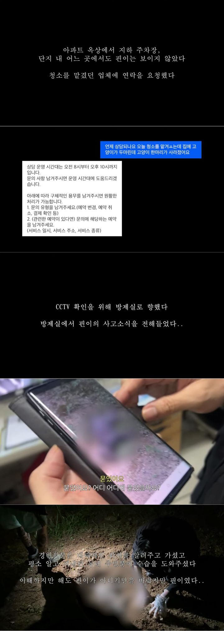 [서울=뉴시스] 89만 유튜버 '다나나'가 반려묘 '핀이'를 잃게 된 영상을 게재했다. (사진= 유튜브 '다나나' 캡처 ) 2024.10.22. photo@newsis.com *재판매 및 DB 금지