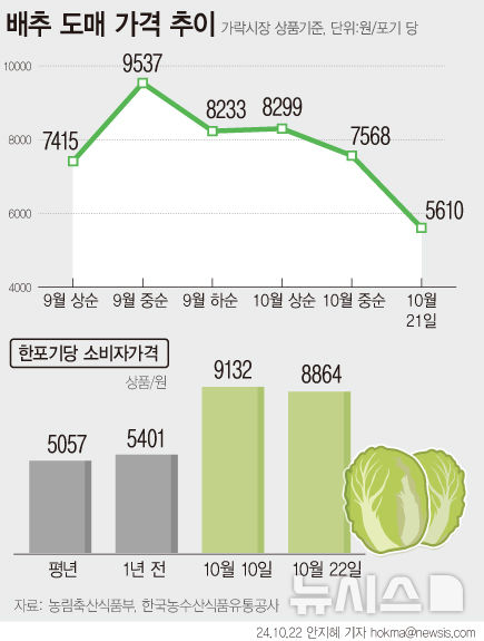 [서울=뉴시스] 22일 농림축산식품부는 10월 하순부터 배추 출하 지역이 확대되고, 출하량도 늘어나 배추 가격이 안정될 것으로 전망했다. 송미령 농림축산식품부 장관은 전날 가락시장에서 거래되는 배추 1포기당 도매가격이 5328원으로 하락한 만큼 소매가격에 반영되면서 가격 부담이 완화될 수 있다고 설명했다. (그래픽=안지혜 기자) hokma@newsis.com