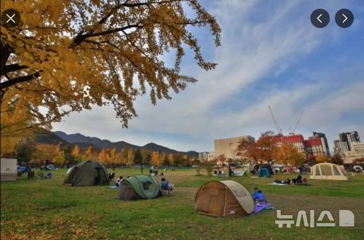 [과천=뉴시스] 과천정부청사 유휴지 전경.(사진=인터넷 캡처).