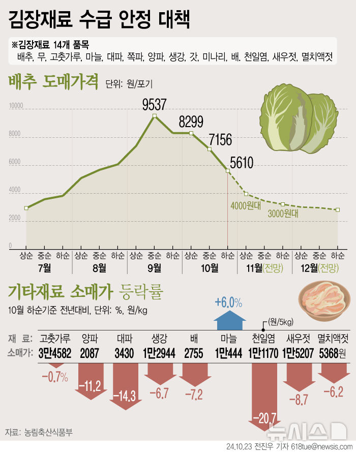 [서울=뉴시스] 23일 농림축산식품부에 따르면 배추 도매가격은 포기당 9월 중순 9500원 수준으로 정점을 찍은 후 10월 상순 8300원, 10월 중순 7156원, 10월 하순 5610원으로 하락세를 보이고 있다. 농식품부는 배추 도매가격 전망 변동성이 많지만 11월 상순엔 4000원대, 하순엔 3000원대로 전망된다도 밝혔다. (그래픽=전진우 기자) 618tue@newsis.com