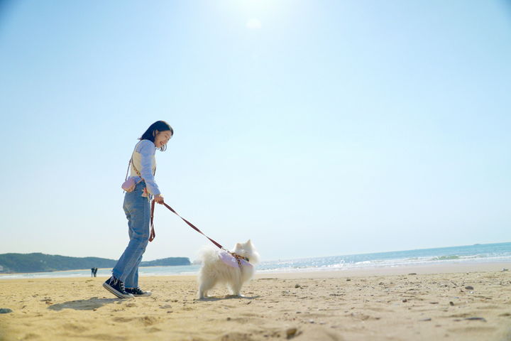 [태안=뉴시스] 지난해 5월 반려견과 함께 충남 태안을 찾은 한 반려인이 해변을 거닐고 있다. (사진=태안군 제공) 2024.10.24. *재판매 및 DB 금지