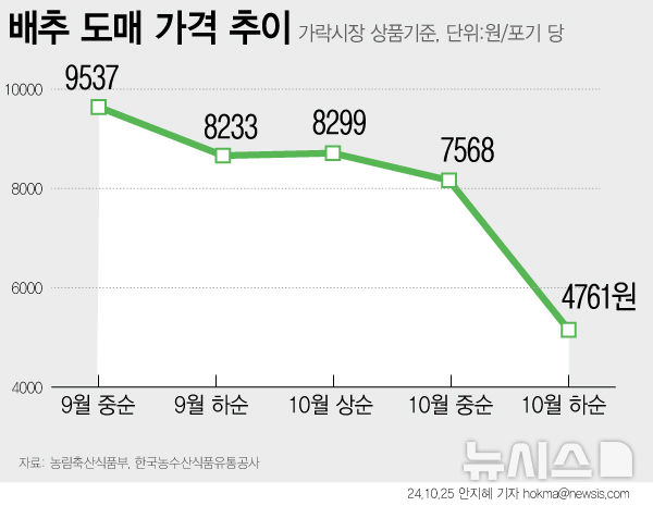 [서울=뉴시스] 10월 들어 가을배추의 작황은 호전되고 있는 것으로 전해졌다. 가격도 뚜렷한 하락세를 보이고 있다. 10월 상순 가락시장 평균 도매가격은 배추 1포기당 9299원을 보였지만 하순에는 포기당 4761원으로 2배가량 낮아졌다. (그래픽=안지혜 기자) hokma@newsis.com