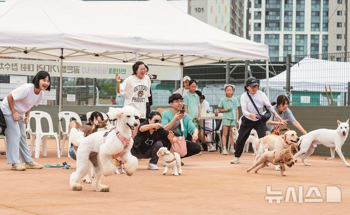 반려견 올림픽부터 장기자랑까지…27일 '송파 반려동물 한마당'