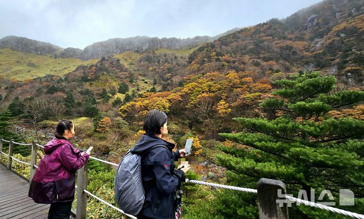 [제주=뉴시스] 임재영 기자 = 27일 오전 한라산 고지대인 해발 1600~1750m 탐라계곡 일대에서는 단풍이 장관을 뽐내면서 탐방객의 탄성이 절로 나왔다. 2024.10.27. ijy788@newsis.com