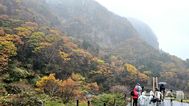 [제주=뉴시스] 임재영 기자 = 27일 오전 한라산 고지대인 해발 1600~1750m 탐라계곡 일대에서는 단풍이 장관을 뽐내면서 탐방객의 탄성이 절로 나왔다. 2024.10.27. ijy788@newsis.com