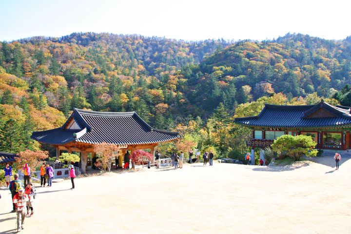 상원사 경내 (사진=한국관광공사) *재판매 및 DB 금지