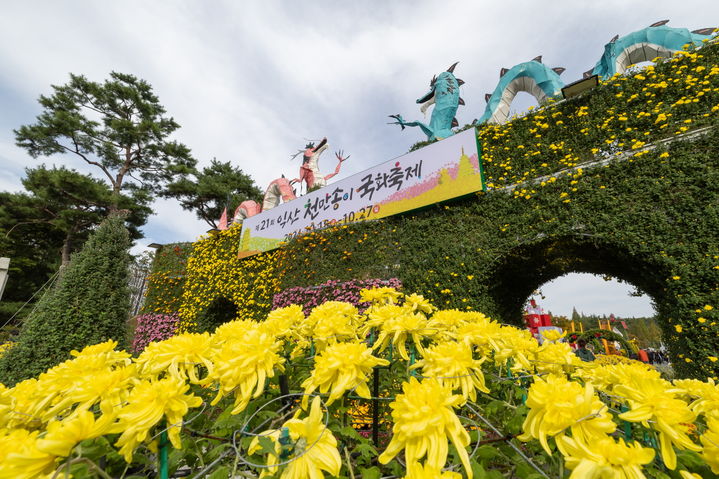 '익산 천만송이 국화축제’ 74만명 가슴에 가을을 심다