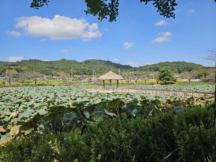 충남권 맑지만 남부 내륙 아침까지 짙은 안개