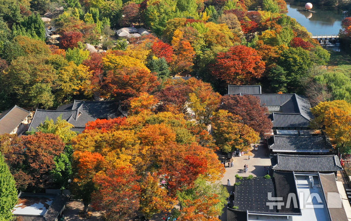 [용인=뉴시스] 김종택기자 = 완연한 가을 날씨를 보인 30일 경기도 용인시 한국민속촌에 울긋불긋한 단풍이 물들어가고 있다. 2024.10.30. jtk@newsis.com