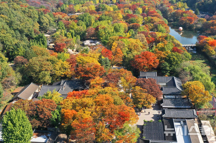 [용인=뉴시스] 김종택기자 = 완연한 가을 날씨를 보인 30일 경기도 용인시 한국민속촌에 울긋불긋한 단풍이 물들어가고 있다. 2024.10.30. jtk@newsis.com