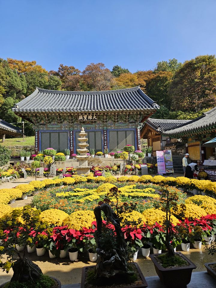 충남권 흐리다가 맑아지고 일부 강한 바람…일교차도 커