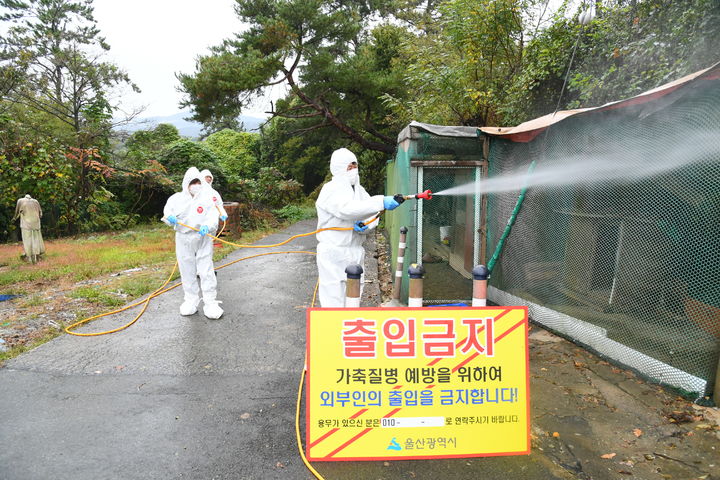 "AI 유입 차단하라"…울주군, 산란계농장 긴급방역 실시