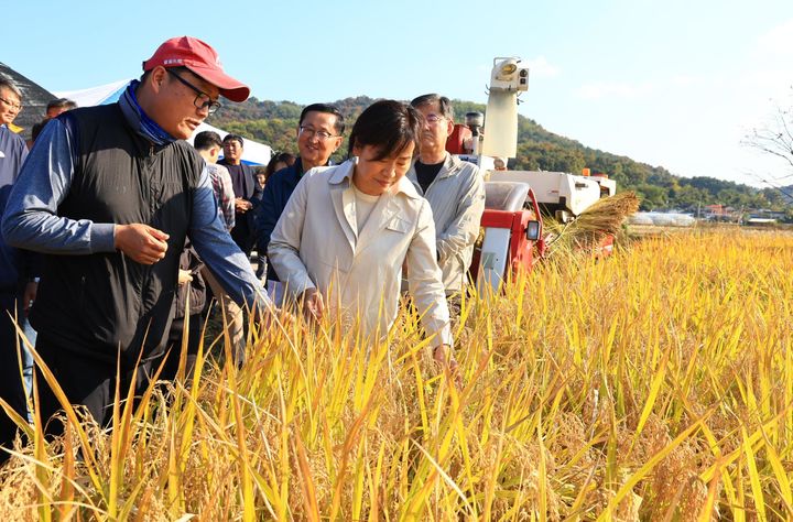 [서울=뉴시스] 조성봉 기자 = 송미령 농림축산식품부 장관이 3일 오후 충북 청주 벼 수확 현장을 조희성 쌀전업농중앙연합회장, 장수용 들녘경영체중앙연합회장, 최흥식 한국후계농업경영인중앙연합회 등 농업인단체와 함께 둘러보고 있다. (사진=농림축산식품부 제공) 2024.11.03. photo@newsis.com *재판매 및 DB 금지