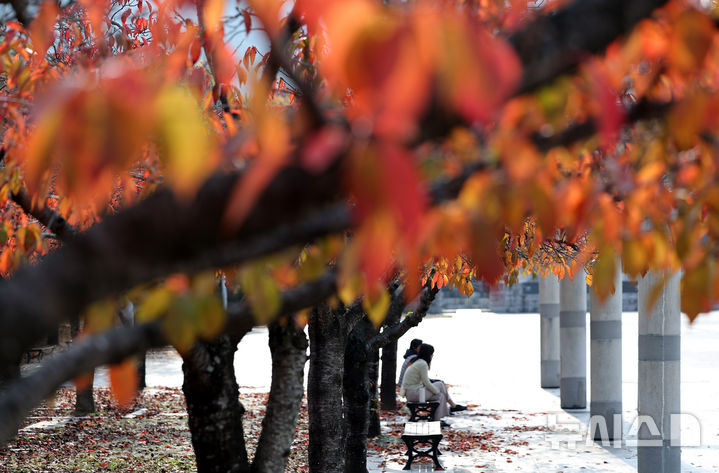 쌀쌀한 울산, 아침 10도·낮 18도…강풍불어 체감온도 '뚝'