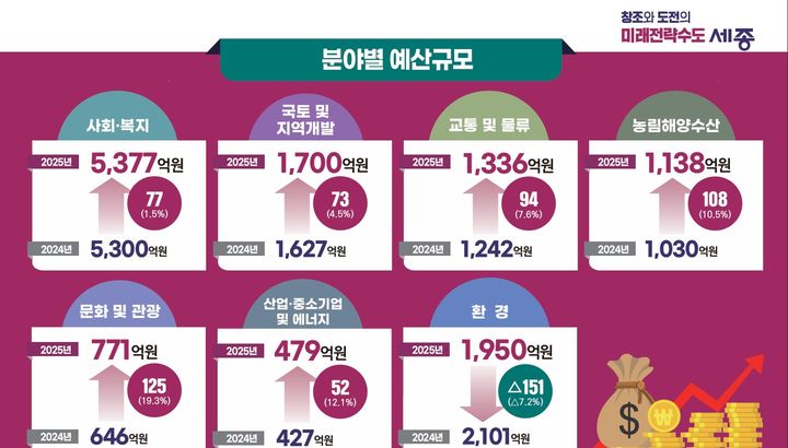 [세종=뉴시스] 세종시 내년 분야별 예산안. (사진=세종시 제공) 2024.11.05. photo@newsis.com *재판매 및 DB 금지