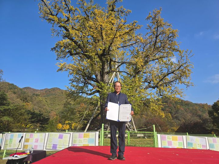 [당진=뉴시스] 지난 5일 경북 안동 용계리에서 열린 국가유산청 당산나무 할아버지 위촉식에서 김용성 이장이 위촉장을 받은 후 은행나무 앞에서 기념 촬영을 하고 있다. (사진=당진시 제공) 2024.11.06. photo@newsis.com *재판매 및 DB 금지