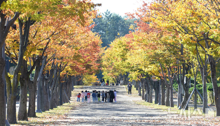 [울산=뉴시스] 배병수 기자 = 기온이 떨어지며 쌀쌀한 날씨를 보인 지난 6일 오전 울산 남구 문수체육공원을 찾은 시민들이 낙엽을 밟으며 가을 정취를 만끽하고 있다. 2024.11.06.bbs@newsis.com.