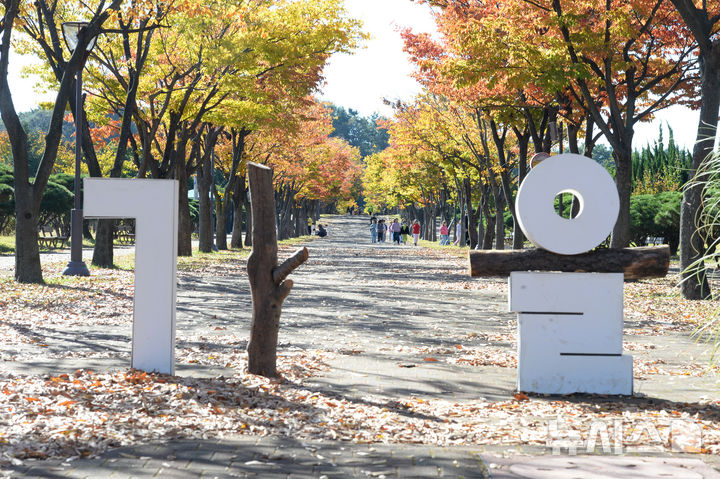 [울산=뉴시스] 배병수 기자 = 기온이 떨어지며 쌀쌀한 날씨를 보인 6일 오전 울산 남구 문수체육공원을 찾은 시민들이 낙엽을 밟으며 가을 정취를 만끽하고 있다. 2024.11.06.bbs@newsis.com.