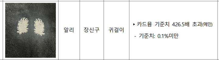 [서울=뉴시스]알리 귀걸이. 2024.11.08. (사진=서울시 제공) *재판매 및 DB 금지