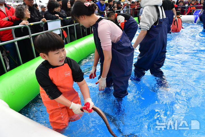 [울진=뉴시스] 송종욱 기자 = '2024 죽변항 수산물 축제'가 8~10일 사흘간 울진 죽변항 일원에서 열린 가운데 관광객이 몰려 성황을 이루고 있다. 사진은 어린아이가 맨손 활어 잡기 체험 프로그램에서 장어를 잡은 후 어쩔 줄 모르며 손가락에 힘을 주는 모습. (사진=울진군 제공) 2024.11.09. photo@newsis.com 