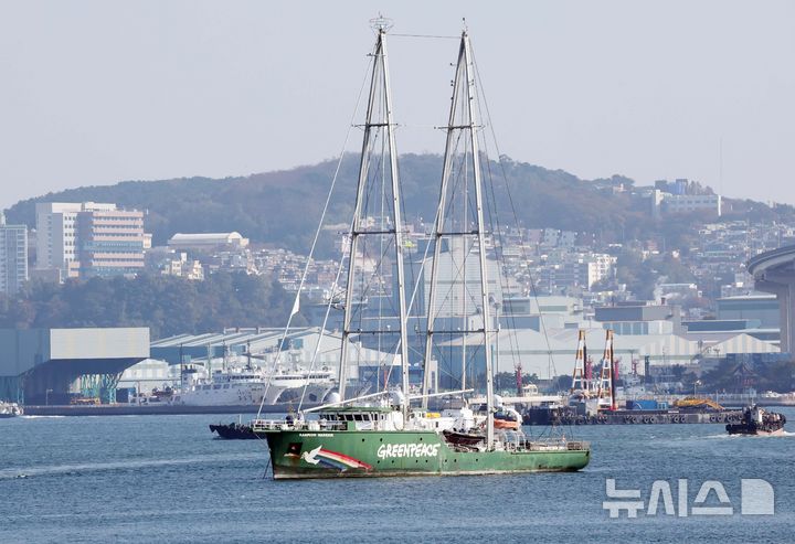 [부산=뉴시스] 하경민 기자 = 국제 환경단체 그린피스의 상징인 환경감시선 '레인보우 워리어호'(855t)가 12일 부산항 북항 앞 해상에 묘박하고 있다.  2011년부터 전 세계를 누비고 있는 레인보우 워리어호는 길이 57.9m, 높이 54.2m(돛 포함) 크기이며, 20여 명이 승선한 것으로 알려졌다. 그린피스는 이달 말 부산에서 열리는 국제 플라스틱 협약 제5차 협상회의(INC5)를 통해 강력한 플라스틱 협약을 촉구하는 다양한 활동을 전개할 예정이다. 2024.11.12. yulnetphoto@newsis.com