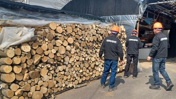 [대전=뉴시스] 산림병해충예찰방제단이 소나무류 불법이동을 단속하고 있는 모습.(사진=산림청 제공) *재판매 및 DB 금지