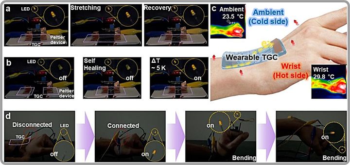 [대전=뉴시스] 하이드로 젤 기반 열전소자의 신축 및 자가회복 특성과 손목의 열을 통한 전구 구동 모식도.(사진=KAIST 제공) *재판매 및 DB 금지