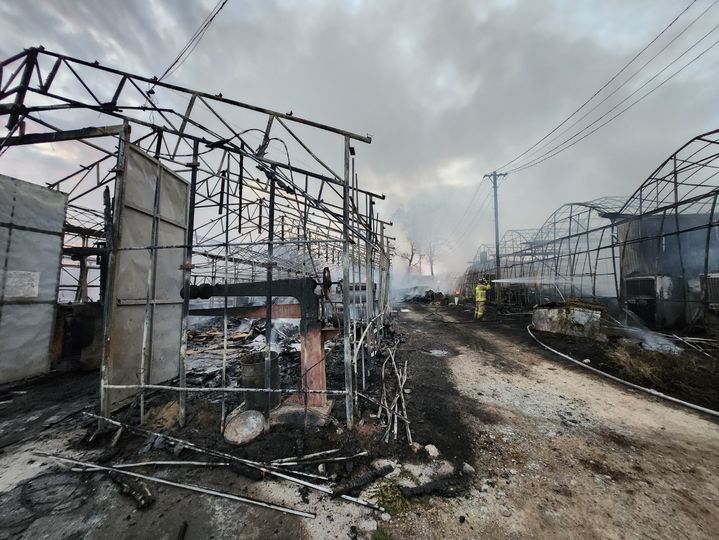 [부산=뉴시스] 14일 오후 부산 강서구의 한 종이 상자 제조공장의 파지 적재 장소인 비닐하우스에서 원인 모를 화재가 발생, 비닐하우스 11개동을 모두 태우고 7시간여만에 완진됐다. (사진=부산소방재난본부 제공) 2024.11.14. photo@newsis.com *재판매 및 DB 금지