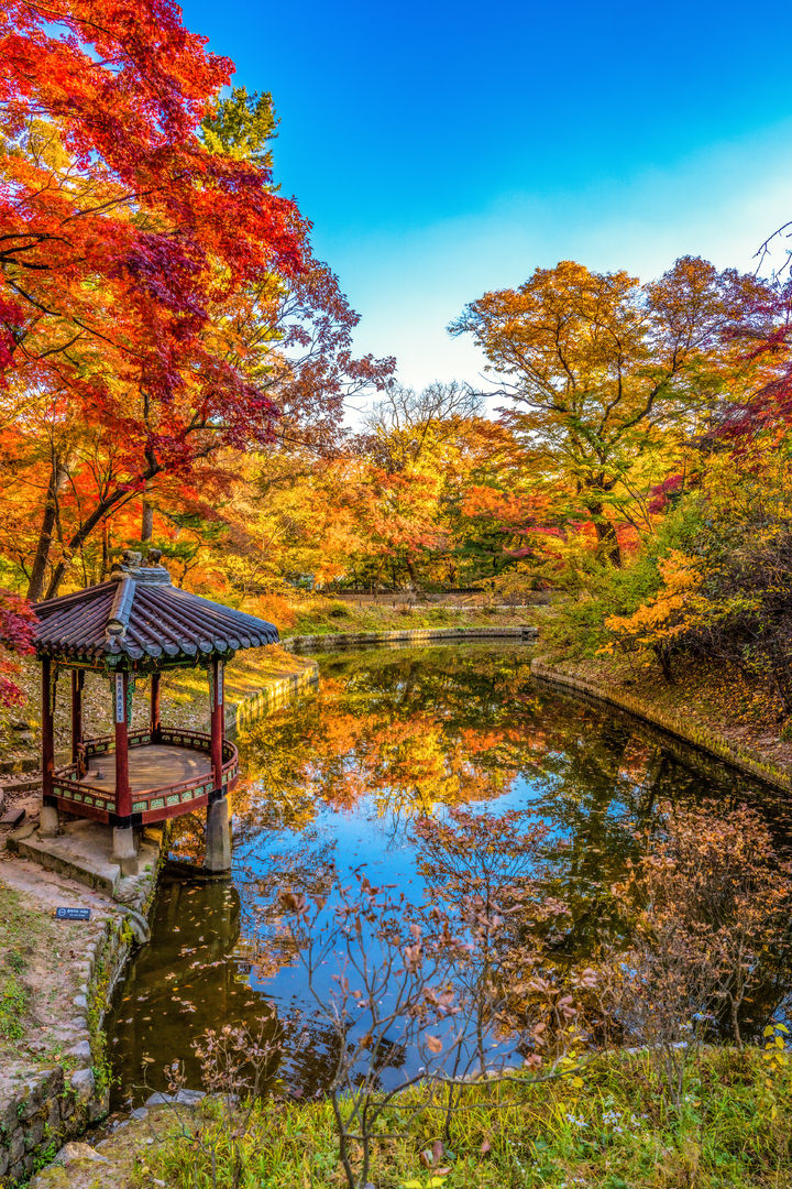 '창경궁'의 '춘당지'(사진=서울관광재단) *재판매 및 DB 금지