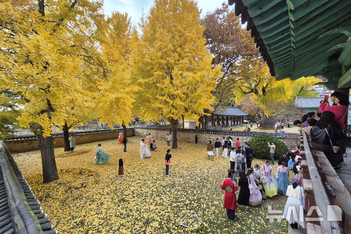 [전주=뉴시스] 김얼 기자 = 전북 전주시 전주향교를 찾은 시민들이 노랗게 물든 은행나무를 배경삼아 사진을 찍으며 늦가을의 정취를 만끽하고 있다. 2024.11.16. pmkeul@newsis.com