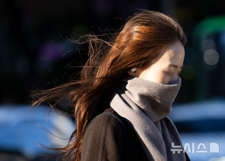 [서울=뉴시스] 김근수 기자 = 추운 가을 날씨를 보인 18일 서울 중구 세종대로에서 한 시민이 출근길에 나서고 있다. 2024.11.18. ks@newsis.com