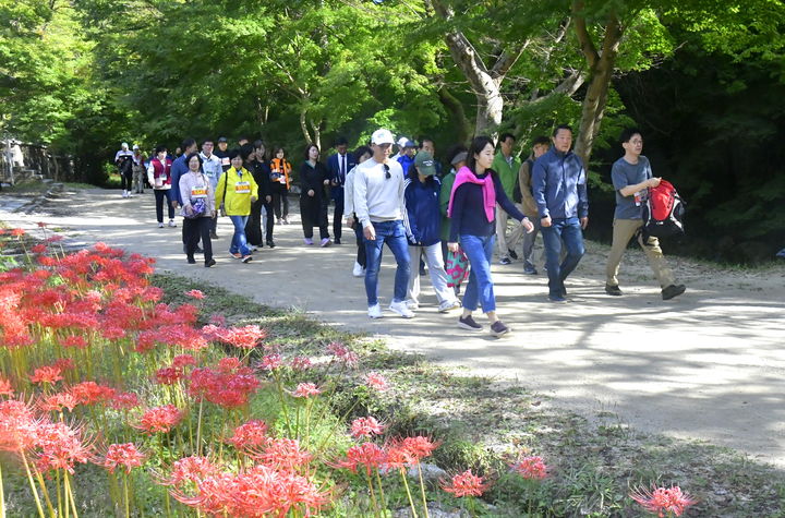 [순창=뉴시스] 최영일 순창군수가 방문객들과 함께 지난 10월 꽃무릇이 만개한 강천산을 걷고 있다. *재판매 및 DB 금지