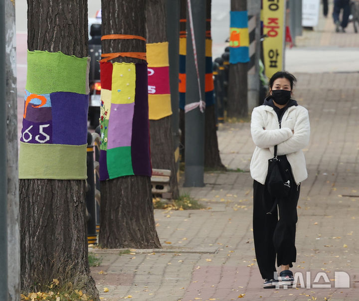 [인천=뉴시스] 전진환 기자 = 20일 오후 인천 미추홀구청 인근 가로수들이 자원봉사자들이 뜨개질로 만들어준 털실 겨울옷을 입고 있다. 2024.11.20. amin2@newsis.com