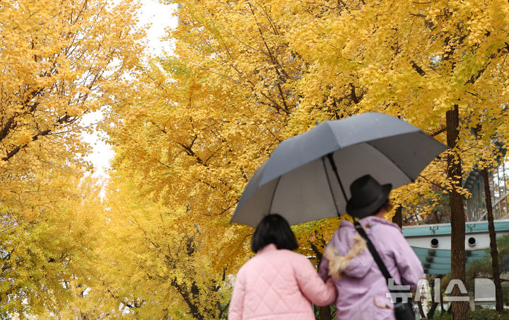 울산, 오전까지 비…낮 최고 14도