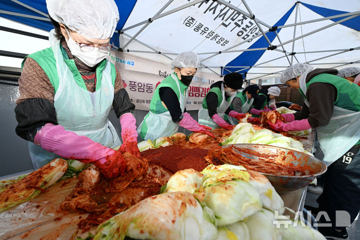 [광주=뉴시스] 이영주 기자 = 첫눈이 내린다는 절기상 소설(小雪)인 22일 오전 광주 서구 풍암동행정복지센터에서 풍암동 새마을협의회가 돌봄이웃에 전달할 김치를 담그고 있다. 2024.11.22. leeyj2578@newsis.com