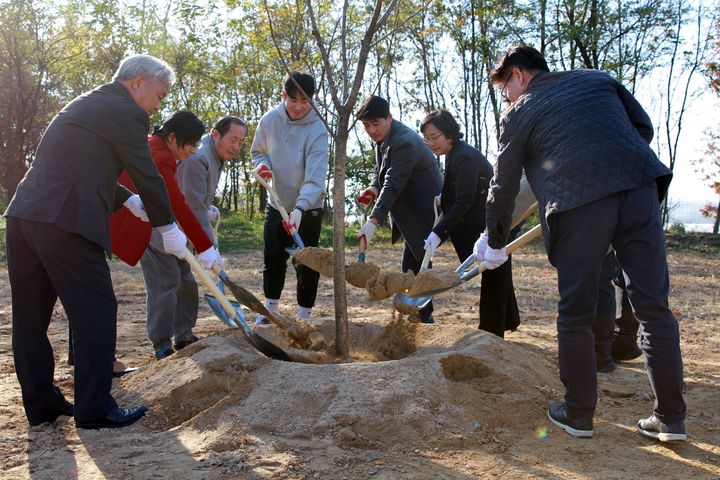 농촌진흥청은 지난 22일 민간과 함께 꿀샘나무인 밀원수 가꾸기 행사를 열었다고 25일 밝혔다. 최근 이상기후가 일상화되면서 감소하고 있는 밀원수를 회복하기 위해 민관이 뭉쳤다. (사진 = 농진청 제공) 2024.11.25. *재판매 및 DB 금지