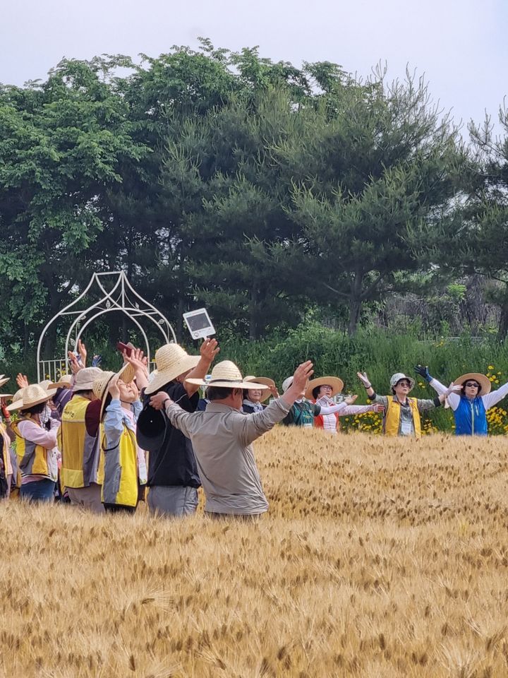 [세종=뉴시스] 도시에 거주하는 70~80대 노인들이 치유농업 프로그램에 참여 후 우울감이 평균 33% 감소한 것으로 나타났다. (사진 = 농촌진흥청 제공) 2024.11.25. *재판매 및 DB 금지