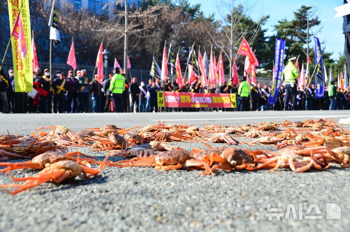 [청주=뉴시스] 서주영 기자 = 동해안 어민들이 25일 충북 청주시 흥덕구 오송읍 식약처 보건의료타운 정문 앞에서 집회를 열고 일본산 암컷 대게 수입 철회를 촉구하고 있다. 2024.11.25. juyeong@newsis.com 