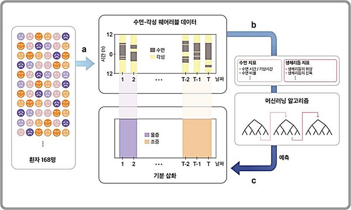 [대전=뉴시스] 수면-각성 데이터만을 이용한 기분 삽화 예측 모델 개발 모식도.(사진=IBS 제공) *재판매 및 DB 금지