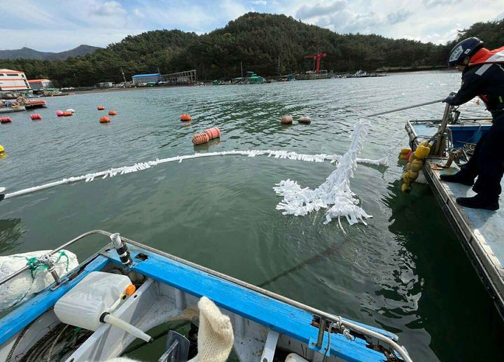 [통영=뉴시스] 신정철 기자= 통영해양경찰서는 26일 오전 통영시 도산면 앞 해상에 계류 중이던 어선에서 기름이 유출돼 긴급 방제조치 했다.사진은 통영해경이 유흡착재 약 10kg 등을 사용하여 긴급 방제조치를 취하고 있다.(사진=통영해경 제공).2024.11.26. photo@newsis.com *재판매 및 DB 금지