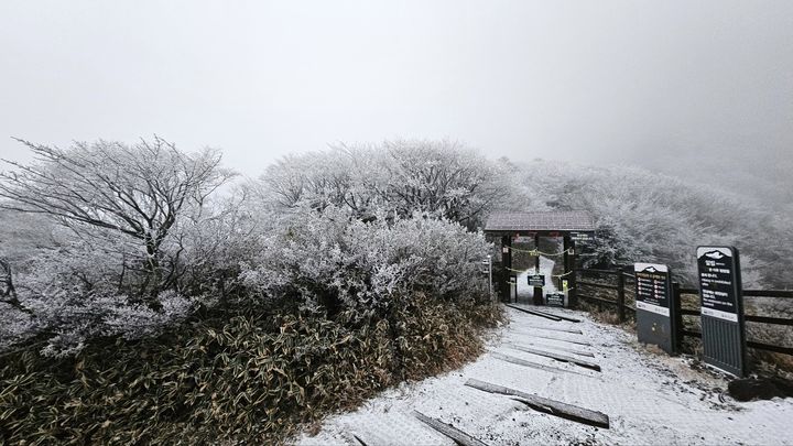 [제주=뉴시스] 27일 오전 7시께 한라산국립공원 관음사탐방로 해발 1500m 삼각봉대피소에는 상고대(서리꽃)와 함께 탐방로에 눈이 쌓였다. 삼각봉대피소 통제소 주변 경관인 삼각봉은 안개가 덮여서 보이지 않았다. 이날 산지에 대설특보가 내려짐에 따라 한라산국립공원 7개 탐방로는 전면 통제된 가운데 통제조치 직전인 오전 5시에 출발한 한 탐방객이 삼각봉대피소까지 갔다가 돌아오면서 경관을 찍었다. (사진=독자 제공) 2024.11.27. photo@newsis.com *재판매 및 DB 금지