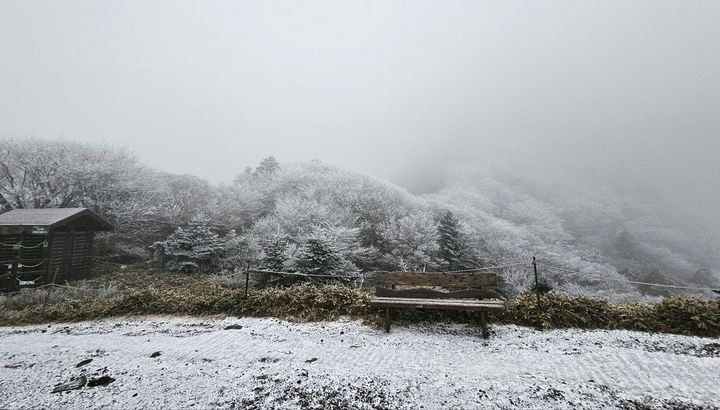 [제주=뉴시스] 27일 오전 7시께 한라산국립공원 관음사탐방로 해발 1500m 삼각봉대피소에는 상고대(서리꽃)와 함께 탐방로에 눈이 쌓였다. 삼각봉대피소 통제소 주변 경관인 삼각봉은 안개가 덮여서 보이지 않았다. 이날 산지에 대설특보가 내려짐에 따라 한라산국립공원 7개 탐방로가 전면 통제된 가운데 통제조치 직전인 오전 5시에 출발한 한 탐방객이 삼각봉대피소까지 갔다가 돌아오면서 경관을 찍었다. (사진=독자 제공) 2024.11.27. photo@newsis.com *재판매 및 DB 금지