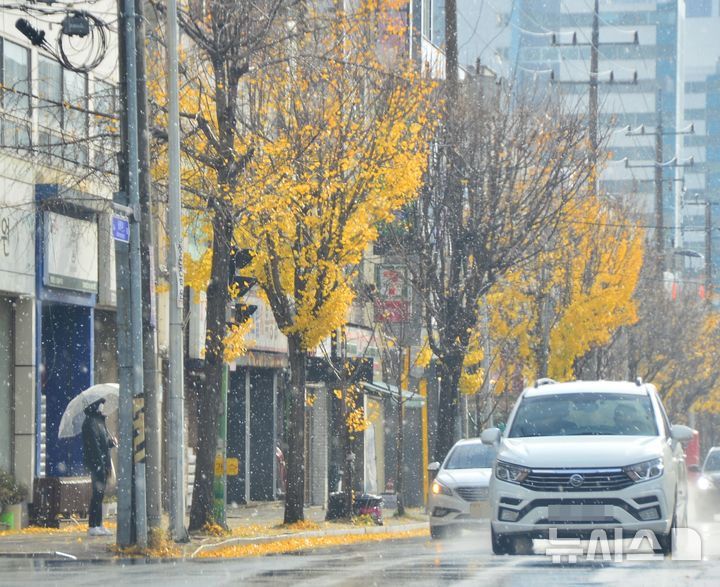 [청주=뉴시스] 서주영 기자 = 올겨울 첫눈이 내린 27일 충북 청주시의 한 거리에서 시민이 우산을 쓴 채 신호등 신호를 기다리고 있다. 2024.11.27. juyeong@newsis.com