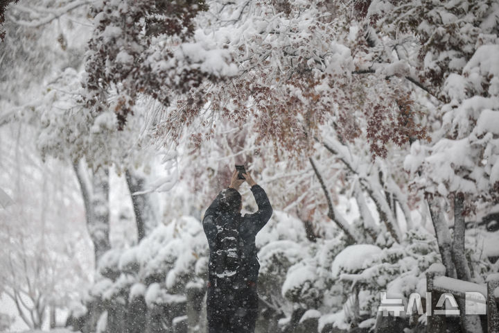 [서울=뉴시스] 정병혁 기자 = 27일 서울 중구 남산을 찾은 시민과 여행객들이 내리는 눈을 바라보고 있다. 2024.11.27. jhope@newsis.com