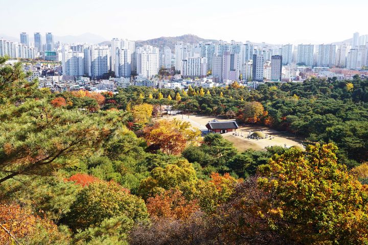 [서울=뉴시스] 이정근 작가의 서울 의릉 전경 (사진=국가유산청 제공) 2024.11.28. photo@newsis.com *재판매 및 DB 금지