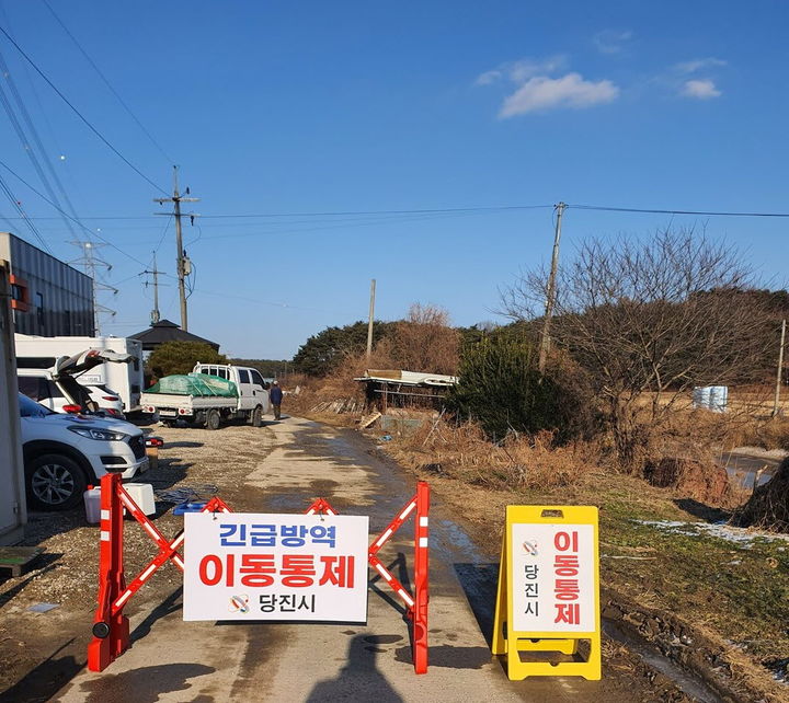 음성·창녕서 고병원성 AI 확진…올 겨울 경남 첫 사례