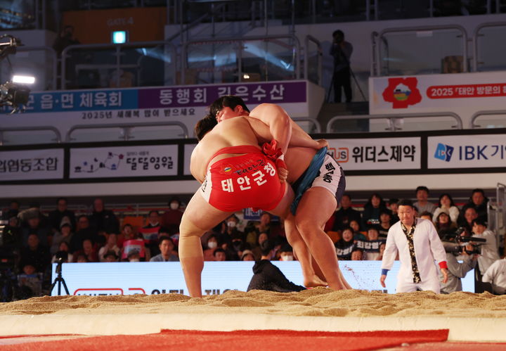 태안 씨름대회와 농구 대표팀 출전 명단 발표로 스포츠 열기 고조