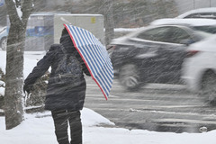 광주·전남 밤사이 '최대 20㎝↑' 폭설 주의…강풍·한파 동반