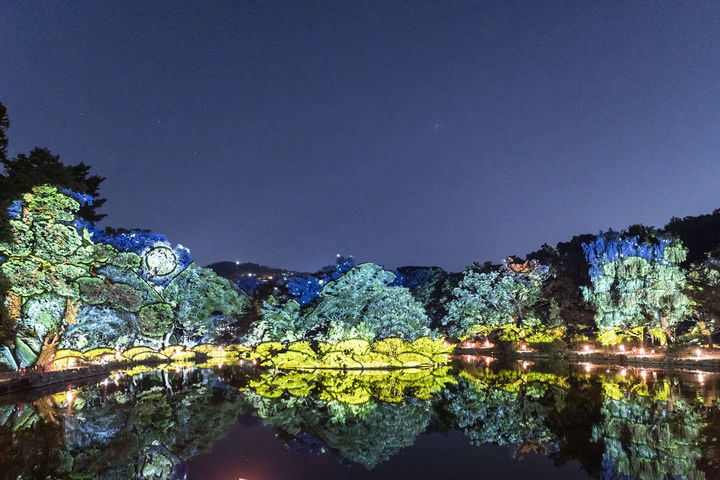 [서울=뉴시스] 창경궁 대춘당지 전경(물빛연화) (사진=국가유산청 제공) 2025.02.27. photo@newsis.com 0 *재판매 및 DB 금지