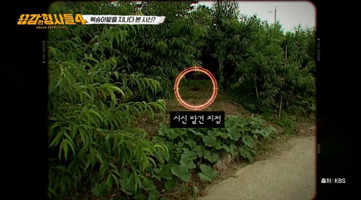 복숭아밭서 불에 탄 시신…키 140~150㎝ 소년으로 밝혀져